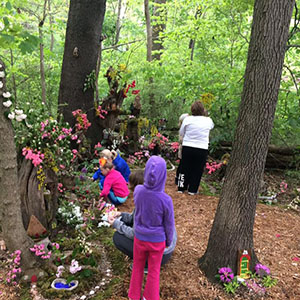 Mission Oaks Fairy Garden Update 7