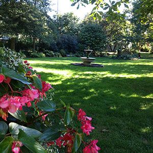 Mission Oaks Gardens Gale Garden 3.JPG
