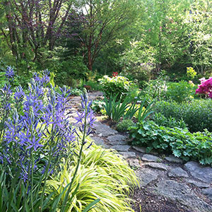 Mission Oaks Gardens Perennial Garden 18.JPG