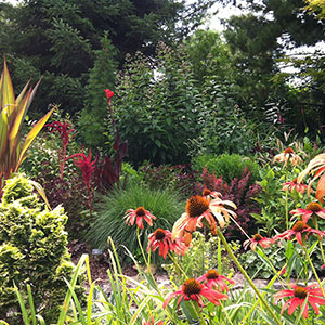 Mission Oaks Gardens Perennial Garden 24.JPG