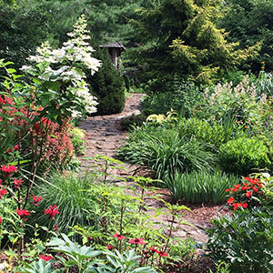 Mission Oaks Gardens Perennial Garden 27.JPG