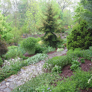Mission Oaks Gardens Perennial Garden 8.JPG